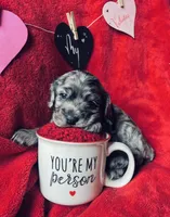 processed/a288b2c8-eb67-4a87-8d91-a7dde7e44868/listing/082704ea-698a-4ff7-99a9-ccce1f9aff33/d379fb1a-94dc-4af0-8d35-7a80688d8640