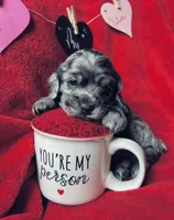 processed/a288b2c8-eb67-4a87-8d91-a7dde7e44868/listing/082704ea-698a-4ff7-99a9-ccce1f9aff33/f464bc97-f8ae-4b5b-8af9-c923ed340d11