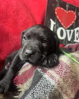 processed/a288b2c8-eb67-4a87-8d91-a7dde7e44868/listing/5cb75312-3e08-4862-9390-8c8631e81af2/30d03b8c-5def-4ca4-a2d4-df4a10d96e90