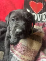 processed/a288b2c8-eb67-4a87-8d91-a7dde7e44868/listing/5cb75312-3e08-4862-9390-8c8631e81af2/91defaa9-ba7d-4bd7-a322-d334f2badf61