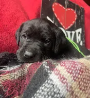 processed/a288b2c8-eb67-4a87-8d91-a7dde7e44868/listing/5cb75312-3e08-4862-9390-8c8631e81af2/b36edd34-8f5c-458f-bec3-c6d9e3aa0497