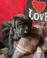 processed/a288b2c8-eb67-4a87-8d91-a7dde7e44868/listing/5cb75312-3e08-4862-9390-8c8631e81af2/c9fff8de-4185-48ec-a71b-38f23d767254