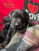 processed/a288b2c8-eb67-4a87-8d91-a7dde7e44868/listing/5cb75312-3e08-4862-9390-8c8631e81af2/d5a94171-c0f6-49c0-8b7c-c57837c2d765