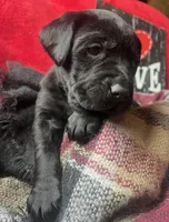 processed/a288b2c8-eb67-4a87-8d91-a7dde7e44868/listing/5cb75312-3e08-4862-9390-8c8631e81af2/e8405e33-f24f-4db7-a940-c2f3f1c12562