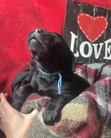 processed/a288b2c8-eb67-4a87-8d91-a7dde7e44868/listing/88d5d35a-a42d-42d6-ac0f-6724893ee815/81bcf1f0-576f-4725-8953-2401312eba49