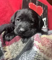 processed/a288b2c8-eb67-4a87-8d91-a7dde7e44868/listing/88d5d35a-a42d-42d6-ac0f-6724893ee815/9cfa20ba-4c3a-414b-a5fd-ace102b5dfc2