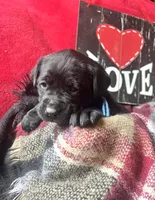 processed/a288b2c8-eb67-4a87-8d91-a7dde7e44868/listing/88d5d35a-a42d-42d6-ac0f-6724893ee815/d55908cc-ac6d-48d8-8d40-a05ce16d811e