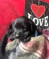 processed/a288b2c8-eb67-4a87-8d91-a7dde7e44868/listing/88d5d35a-a42d-42d6-ac0f-6724893ee815/f0f9c8ae-b644-430b-82f3-233e1a047856