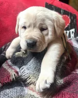 processed/a288b2c8-eb67-4a87-8d91-a7dde7e44868/listing/933fc7d6-ccb9-4689-8bce-0cae1cfb5abf/6bbb1e36-4049-4a95-b7f6-39c8552c03c6