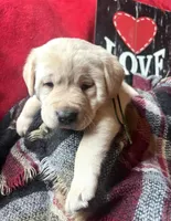 processed/a288b2c8-eb67-4a87-8d91-a7dde7e44868/listing/933fc7d6-ccb9-4689-8bce-0cae1cfb5abf/7c5610c8-be4c-47cb-adcc-ed3e9cea0363