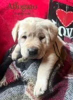 processed/a288b2c8-eb67-4a87-8d91-a7dde7e44868/listing/933fc7d6-ccb9-4689-8bce-0cae1cfb5abf/cb5c0a86-5821-4ac6-819a-a4c865e58a98