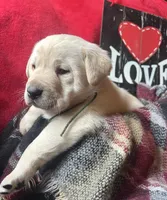 processed/a288b2c8-eb67-4a87-8d91-a7dde7e44868/listing/933fc7d6-ccb9-4689-8bce-0cae1cfb5abf/f31b81f8-81f6-4bf2-bcac-45c769573ffc