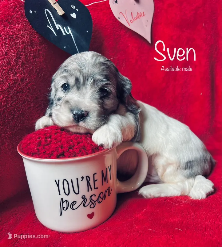 Sven