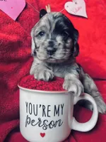 processed/a288b2c8-eb67-4a87-8d91-a7dde7e44868/listing/9627b795-84e6-4b7f-925c-1e399b295c9c/66cd06ee-656a-4b57-9312-442e2c247882