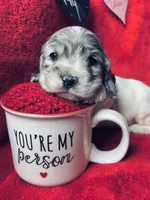 processed/a288b2c8-eb67-4a87-8d91-a7dde7e44868/listing/9627b795-84e6-4b7f-925c-1e399b295c9c/6f7c8251-6ee6-4e88-bd79-f7377dae6ba3