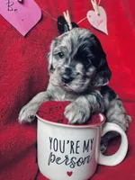 processed/a288b2c8-eb67-4a87-8d91-a7dde7e44868/listing/9627b795-84e6-4b7f-925c-1e399b295c9c/73e3e711-2a29-408a-abd6-81261ad6f644