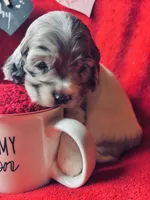 processed/a288b2c8-eb67-4a87-8d91-a7dde7e44868/listing/9627b795-84e6-4b7f-925c-1e399b295c9c/adc72596-f790-4380-b111-a9d198aa6c09