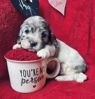 processed/a288b2c8-eb67-4a87-8d91-a7dde7e44868/listing/9627b795-84e6-4b7f-925c-1e399b295c9c/e7fdde42-3ece-4be0-9c2f-8be3005ef222