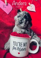 processed/a288b2c8-eb67-4a87-8d91-a7dde7e44868/listing/c186d9a1-3f5e-4f47-a3b2-708f3113351d/0bbe401b-b70f-4c90-b43a-671759ffcda8