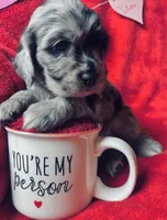 processed/a288b2c8-eb67-4a87-8d91-a7dde7e44868/listing/c186d9a1-3f5e-4f47-a3b2-708f3113351d/2ba22e3e-f7f1-4fca-8b61-5330bdf53ae4