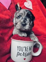 processed/a288b2c8-eb67-4a87-8d91-a7dde7e44868/listing/c186d9a1-3f5e-4f47-a3b2-708f3113351d/ecfe5383-d949-42cc-8b6e-f988f1798d75