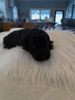 processed/a2894c17-fa12-4849-8063-35580fa0b823/listing/067628be-bf8c-4234-aeca-7b4e2e6c247e/3e9e395c-13c7-464c-b4ca-dcd60d4a3218