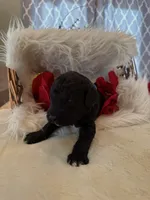 processed/a2894c17-fa12-4849-8063-35580fa0b823/listing/067628be-bf8c-4234-aeca-7b4e2e6c247e/49b7ac00-2fba-44e6-b7fd-0097d738d756