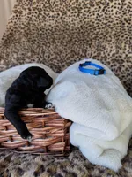 processed/a2894c17-fa12-4849-8063-35580fa0b823/listing/067628be-bf8c-4234-aeca-7b4e2e6c247e/684d3bfa-04ab-423f-9198-062452fade3e