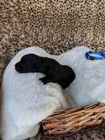 processed/a2894c17-fa12-4849-8063-35580fa0b823/listing/067628be-bf8c-4234-aeca-7b4e2e6c247e/6bf2e93b-7701-4433-b673-3efec27b7558