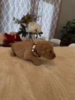 processed/a2894c17-fa12-4849-8063-35580fa0b823/listing/0f570bb4-c905-41c3-87af-440f382b37a6/7428dabd-9b8b-4bc7-acdb-241e94b9ec67