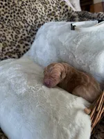 processed/a2894c17-fa12-4849-8063-35580fa0b823/listing/0f570bb4-c905-41c3-87af-440f382b37a6/83109613-fb9e-4058-941e-99c65f880964