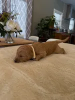 processed/a2894c17-fa12-4849-8063-35580fa0b823/listing/0f570bb4-c905-41c3-87af-440f382b37a6/b1fdbdad-a927-451e-bace-3ec847a7ca7e