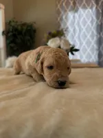 processed/a2894c17-fa12-4849-8063-35580fa0b823/listing/30fc3345-b707-4812-aa59-66d48df4d516/8552c4d2-8430-4732-9695-447e3d6268d3