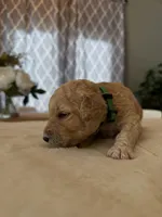 processed/a2894c17-fa12-4849-8063-35580fa0b823/listing/30fc3345-b707-4812-aa59-66d48df4d516/adbfe3fa-dfd2-402a-9978-31570a144e9f