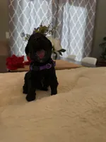 processed/a2894c17-fa12-4849-8063-35580fa0b823/listing/3473db83-0475-48d2-9403-0637745adaa6/57f97da2-5e70-40fd-acee-a4893af69ae6