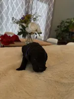 processed/a2894c17-fa12-4849-8063-35580fa0b823/listing/3473db83-0475-48d2-9403-0637745adaa6/7ec9853c-2f09-45a0-b617-5510b3235c00