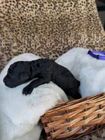 processed/a2894c17-fa12-4849-8063-35580fa0b823/listing/3473db83-0475-48d2-9403-0637745adaa6/80bd490d-68cf-4391-9220-98ad1ed82104