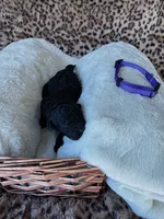 processed/a2894c17-fa12-4849-8063-35580fa0b823/listing/3473db83-0475-48d2-9403-0637745adaa6/ea41c0f0-5eb1-40f9-862a-ab97fc9618ce