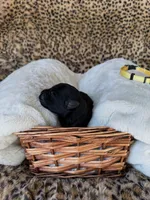 processed/a2894c17-fa12-4849-8063-35580fa0b823/listing/38854eaf-a3b5-4013-acea-04e9d2f44431/1a3be6d1-c54a-4c3a-8c4b-3206caf333c4