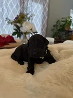 processed/a2894c17-fa12-4849-8063-35580fa0b823/listing/38854eaf-a3b5-4013-acea-04e9d2f44431/81eeb789-6ee6-4916-885c-ad40bc630806