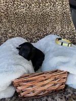 processed/a2894c17-fa12-4849-8063-35580fa0b823/listing/38854eaf-a3b5-4013-acea-04e9d2f44431/cf0d7ca4-a990-4843-a08b-1f96c93f06e6