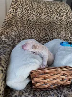 processed/a2894c17-fa12-4849-8063-35580fa0b823/listing/3c1e67f5-7bac-455d-ad03-9210beb1724d/15cd7b62-95b6-4c95-a8ae-fa748011f5ce