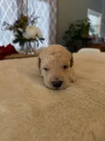 processed/a2894c17-fa12-4849-8063-35580fa0b823/listing/3c1e67f5-7bac-455d-ad03-9210beb1724d/720c5550-fdd1-4618-bea2-e67cbc936ab9