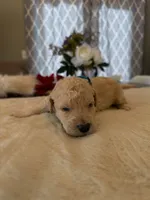 processed/a2894c17-fa12-4849-8063-35580fa0b823/listing/3c1e67f5-7bac-455d-ad03-9210beb1724d/72bed6d4-3982-4135-9bfb-a4cc636d76d4