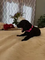 processed/a2894c17-fa12-4849-8063-35580fa0b823/listing/4f86c6a8-5dec-4b5f-b1e6-0c6123f8bc84/78efe4d1-cfe6-443f-bf02-aa61952bdc33