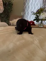 processed/a2894c17-fa12-4849-8063-35580fa0b823/listing/4f86c6a8-5dec-4b5f-b1e6-0c6123f8bc84/e23b51b6-7ee3-456a-9f79-1dcb01b3d148