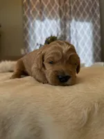 processed/a2894c17-fa12-4849-8063-35580fa0b823/listing/8cd25b79-c981-4372-b4d2-0da150c8edf2/0410c1b3-ee8b-49bc-9896-35a360409ff1