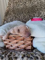 processed/a2894c17-fa12-4849-8063-35580fa0b823/listing/8cd25b79-c981-4372-b4d2-0da150c8edf2/f2f5d6fe-5328-46bc-92b3-0e5b62531220