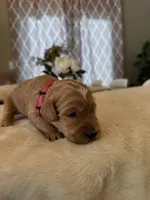 processed/a2894c17-fa12-4849-8063-35580fa0b823/listing/8cd25b79-c981-4372-b4d2-0da150c8edf2/f69824ef-f15f-4a5a-b65c-d1cb5f82d83a