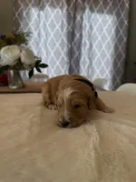 processed/a2894c17-fa12-4849-8063-35580fa0b823/listing/8f54eae6-3ac7-469c-a9bd-758056838687/4acde647-4f99-40c9-8bdb-2e872224ebf5